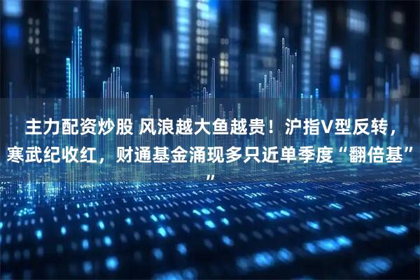 主力配资炒股 风浪越大鱼越贵！沪指V型反转，寒武纪收红，财通基金涌现多只近单季度“翻倍基”